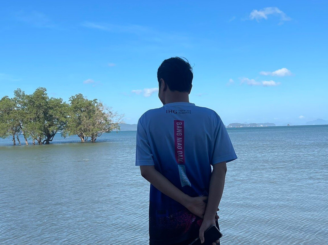 Mangrove Bay Krabi Beachfront Pool Villa