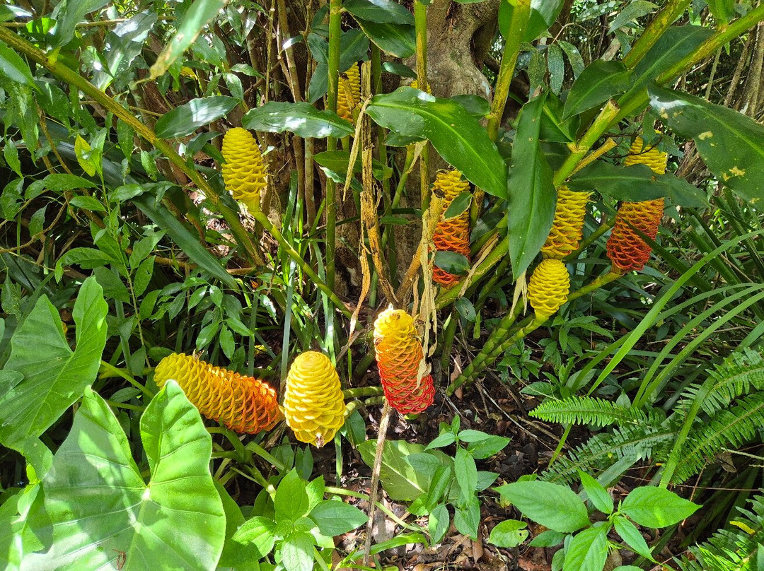 Sharlynn Bed & Breakfast主图