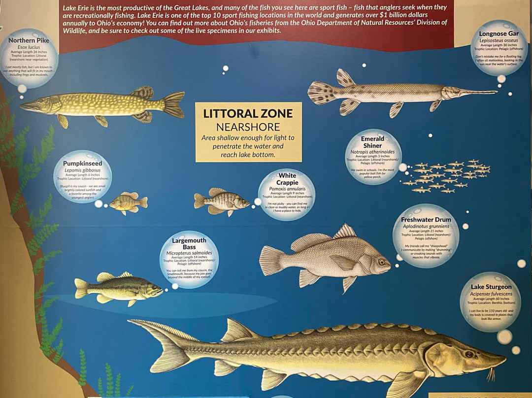 Lake Erie Nature & Science Center-Bay Village必去景点