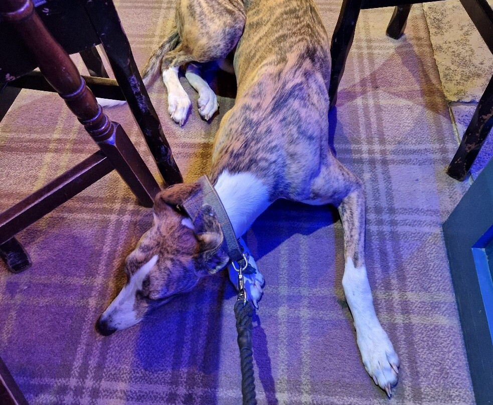 Dunstanburgh Castle Inn主图