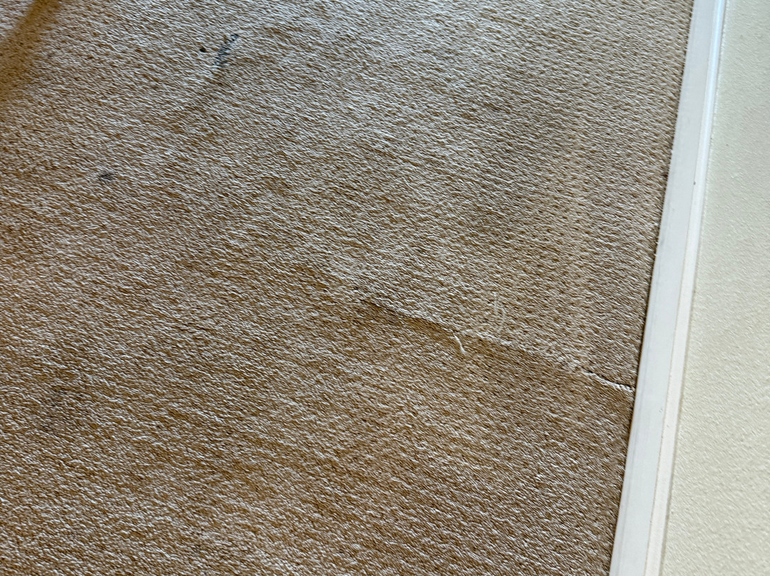 奥兰多团圆度假村主图