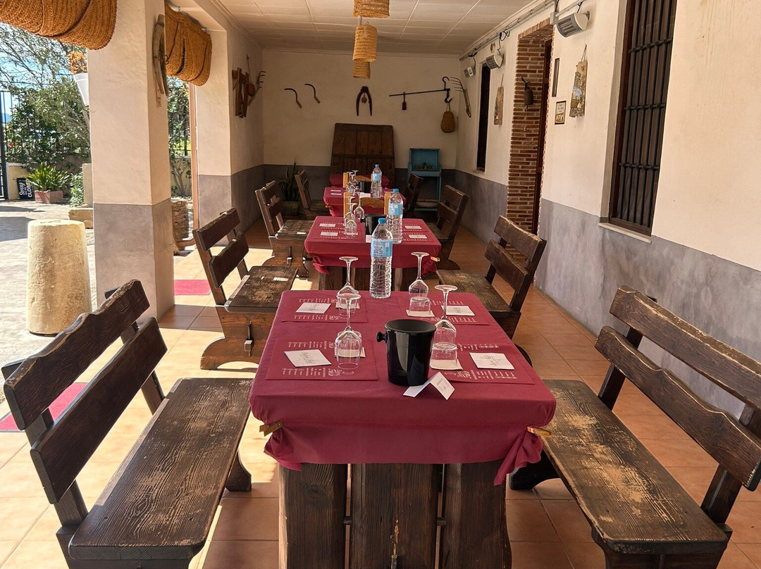 Bodegas Faelo景点图片