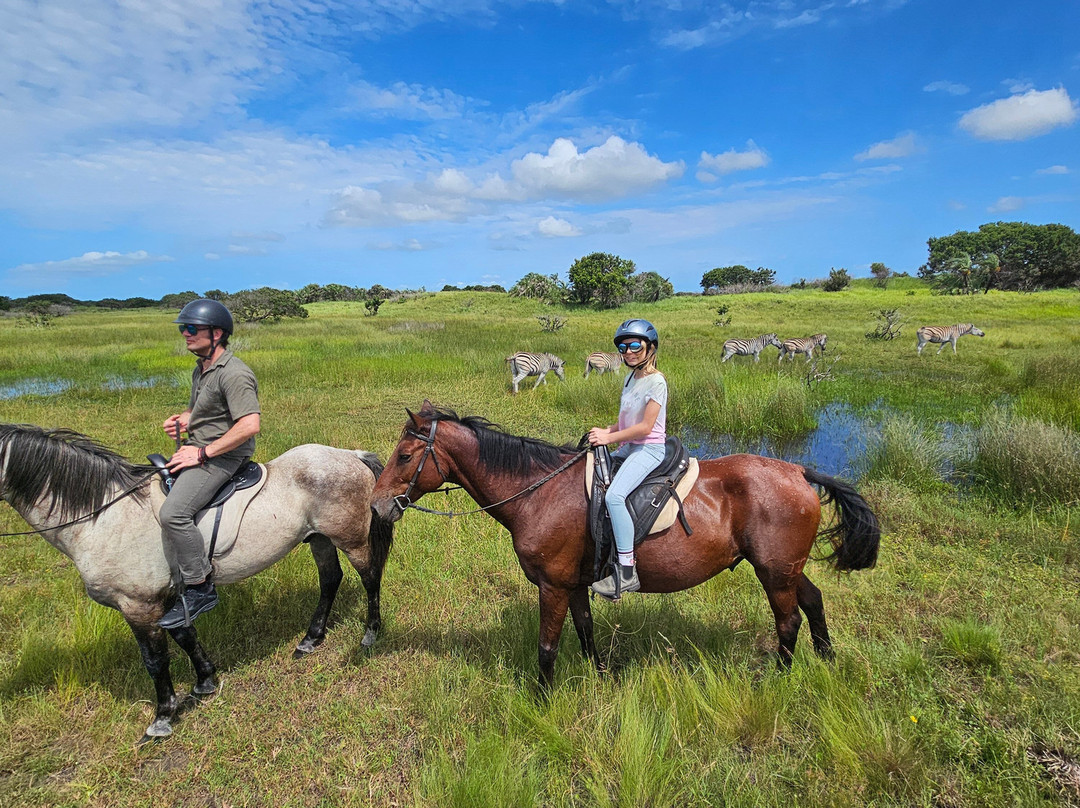 Bhangazi Horse Safaris-圣露西亚必去景点