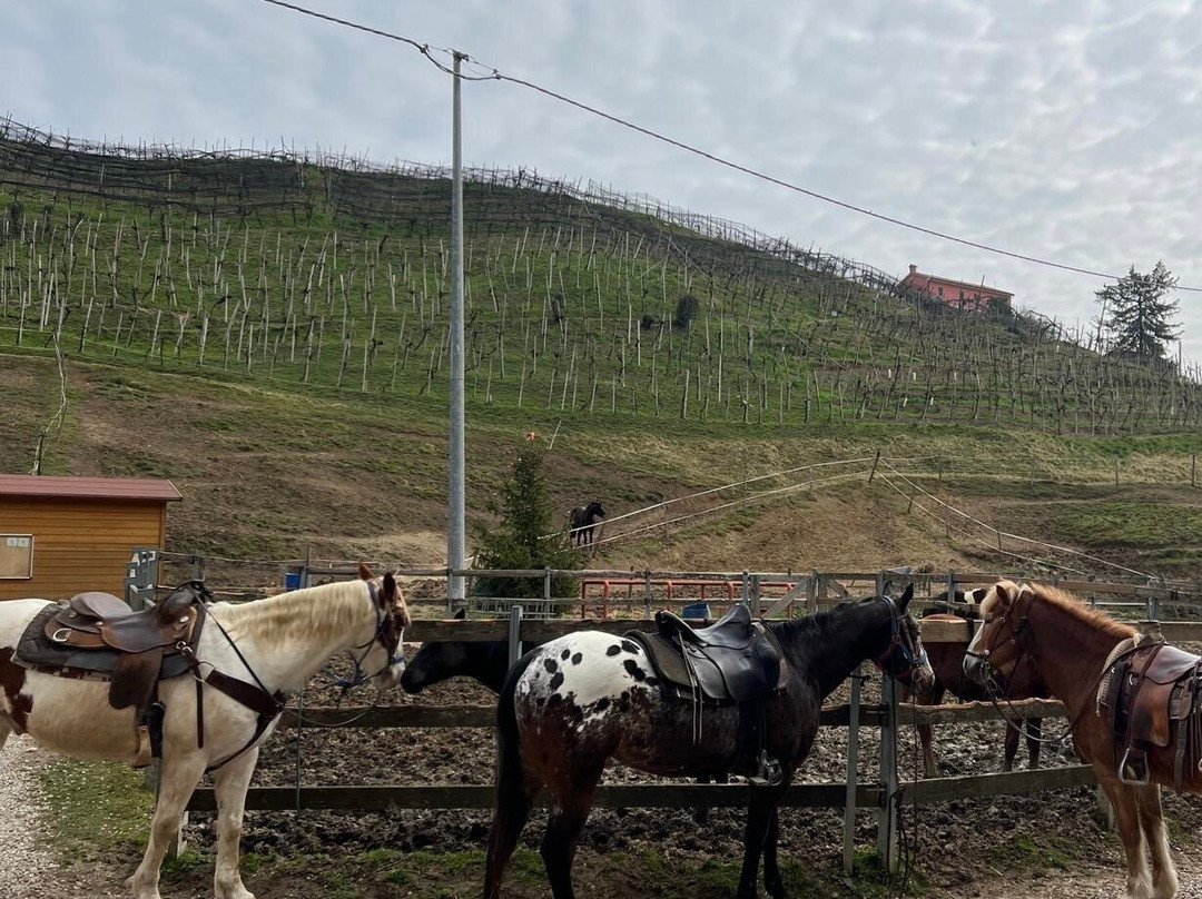 Ranch Val Di Ronch-Rolle必去景点
