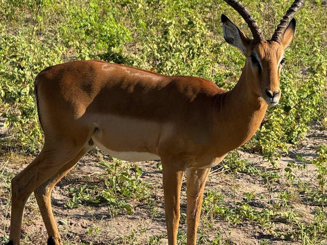 Kalahari Tours-卡萨尼必去景点