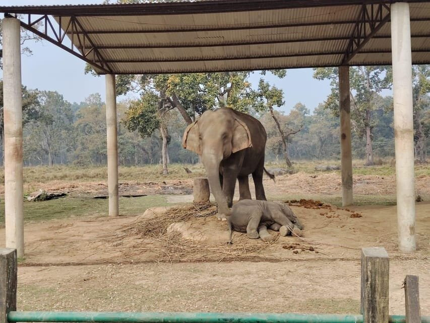 Chitwan National Park-苏拉哈必去景点