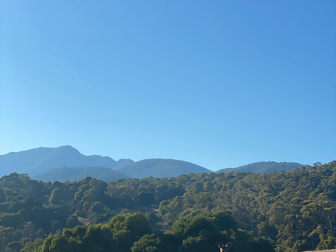 尖峰谷美诗铂高级服务公寓主图