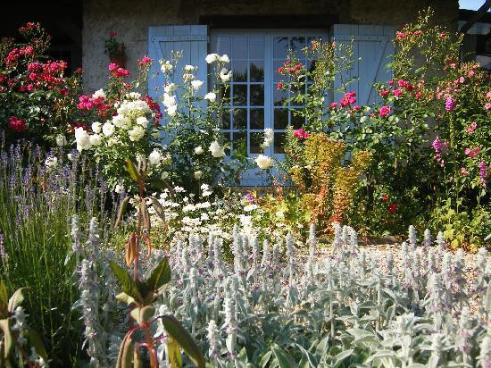 Le Jardin Sauvage主图