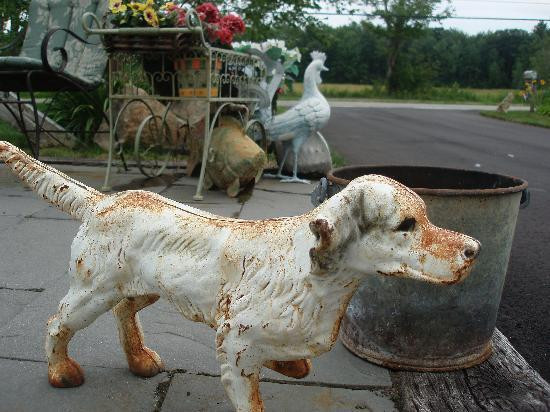 Hounds Tooth Inn主图