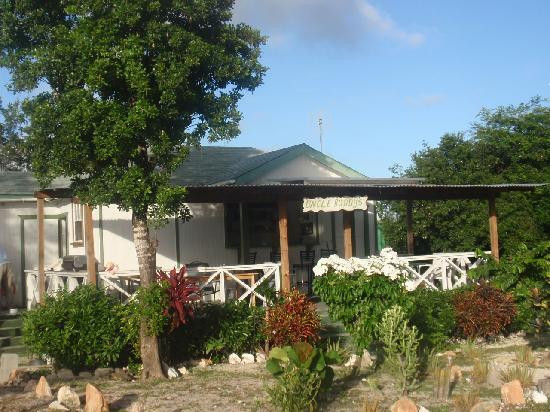 Palm Tree Guest House主图