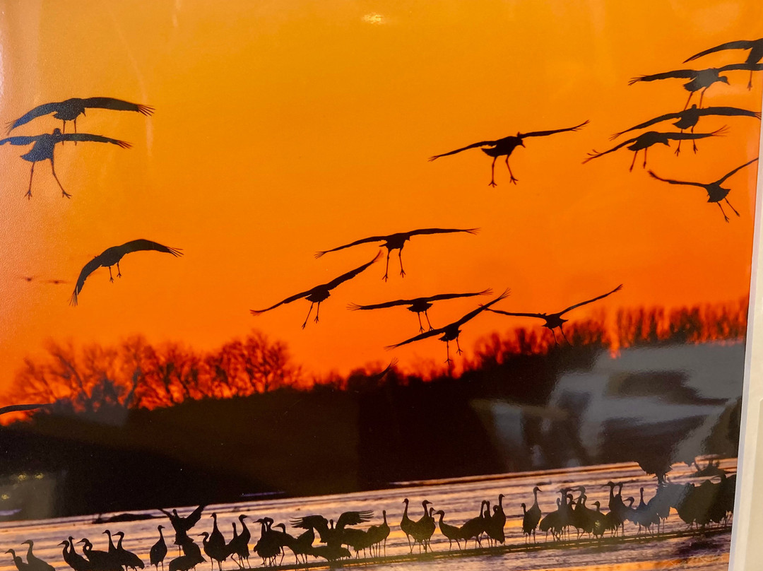 Crane Trust-Wood River必去景点