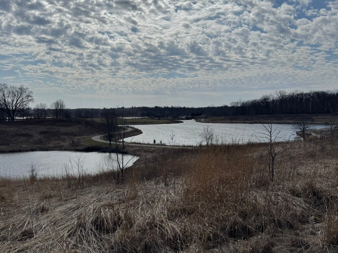 Independence Grove Forest Preserve-Libertyville必去景点