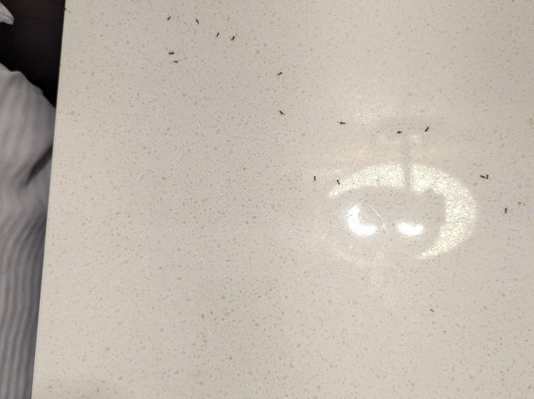 Beachfront Inn主图