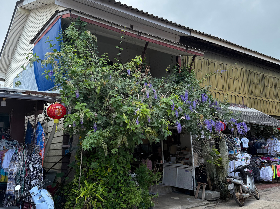 Paradies Sea Travel & Tour-兰塔岛必去景点