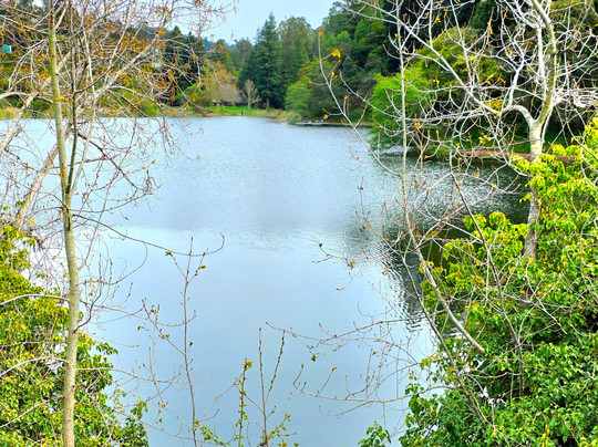 Temescal Regional Recreation Area-奥克兰必去景点