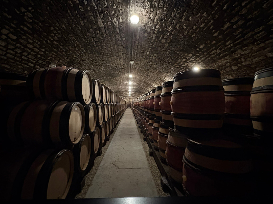 Kanpai Tourisme-里昂必去景点