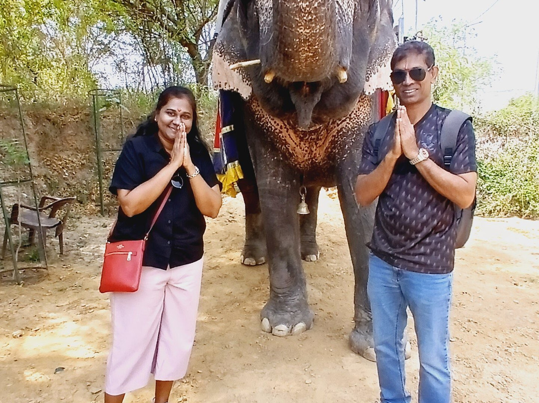 India 4 Wheel Drive-新德里必去景点