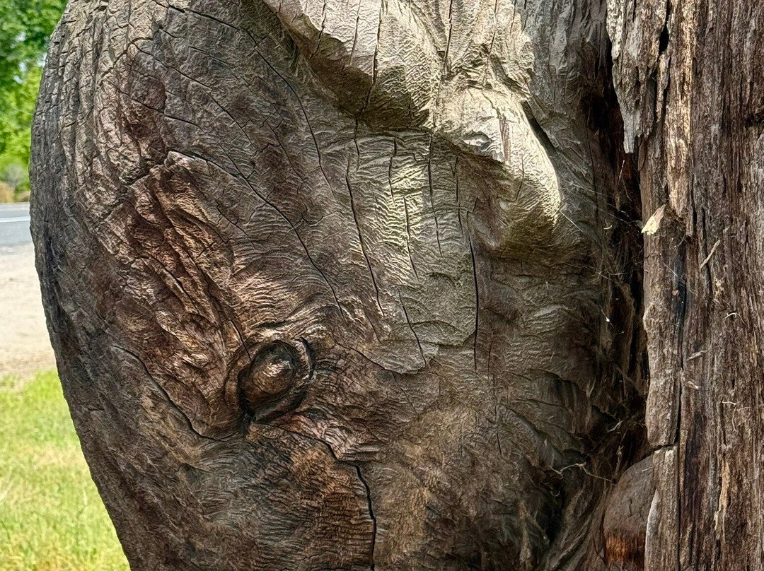 Lemon Grove Carved Statues-Lemon Grove必去景点