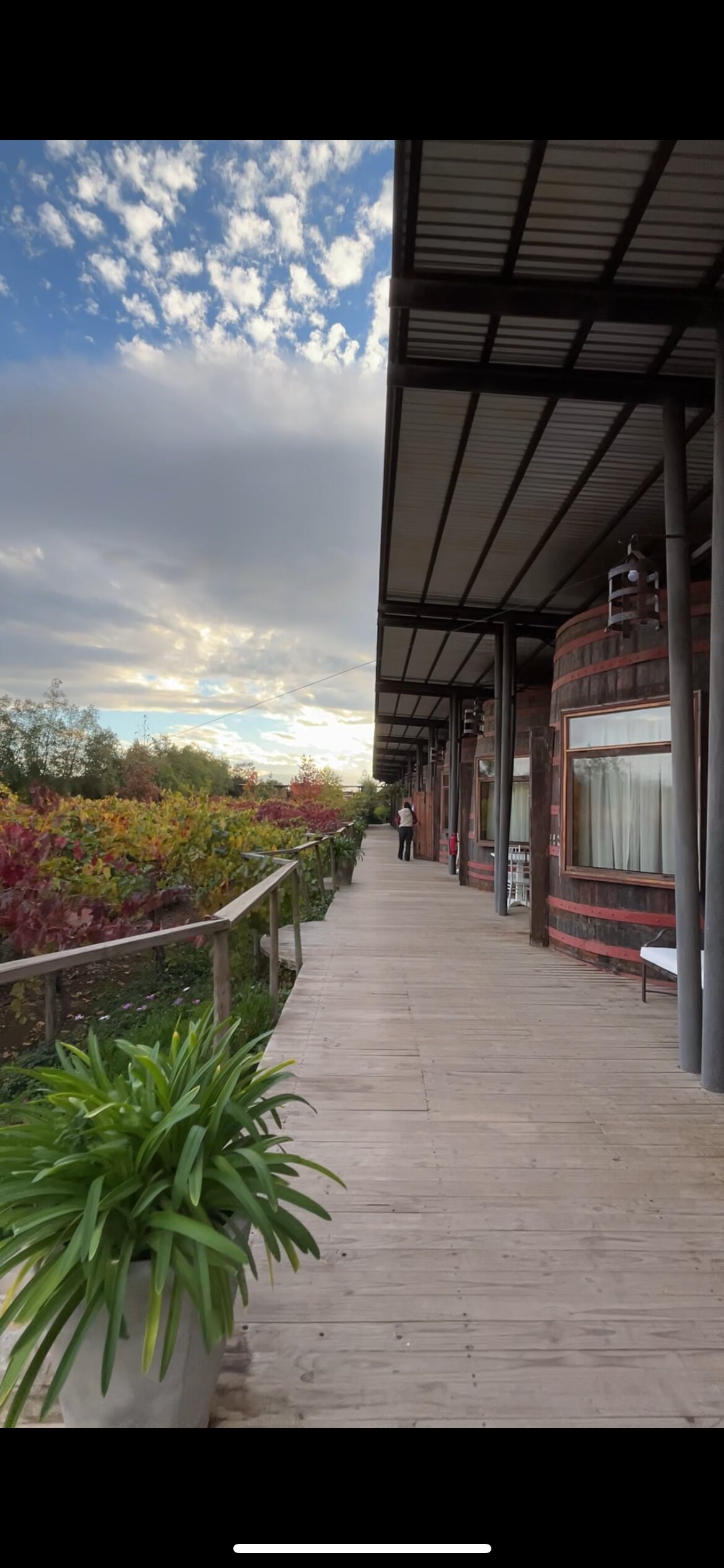 Hotel Cava Colchagua-浴室