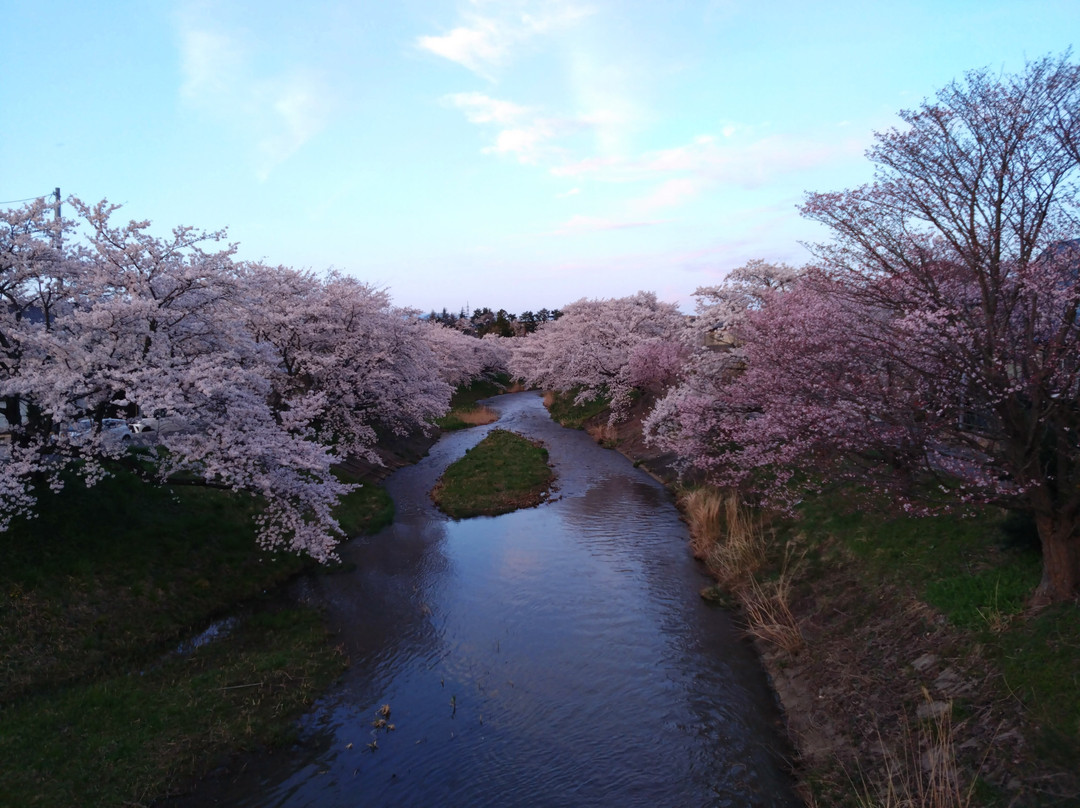Fujitagawa Fureai Zakura