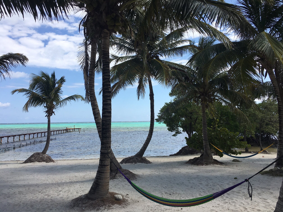 Diving Xcalak-Xcalak必去景点