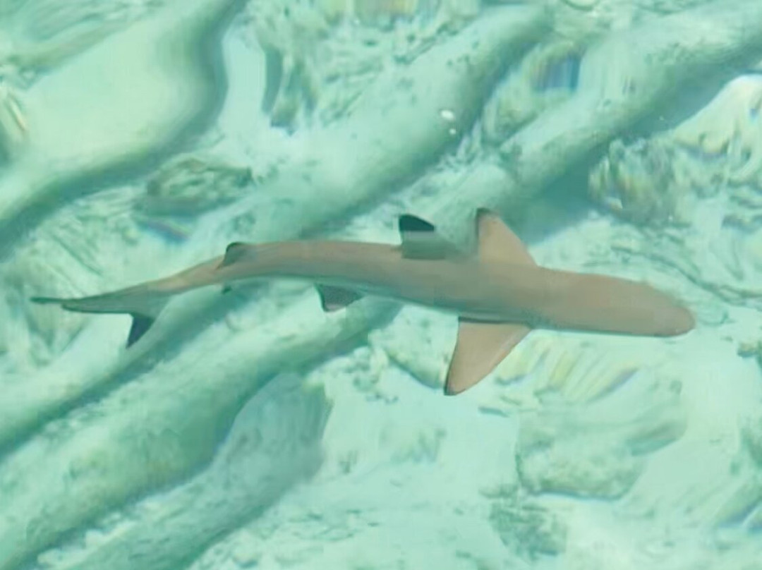 Millekul Adventures-索龙必去景点