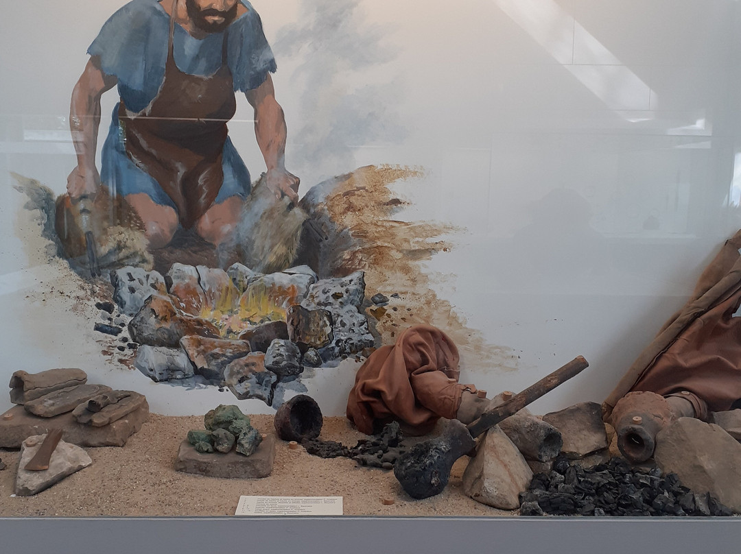 Musee de Prehistoire d'Ile-De-France景点图片