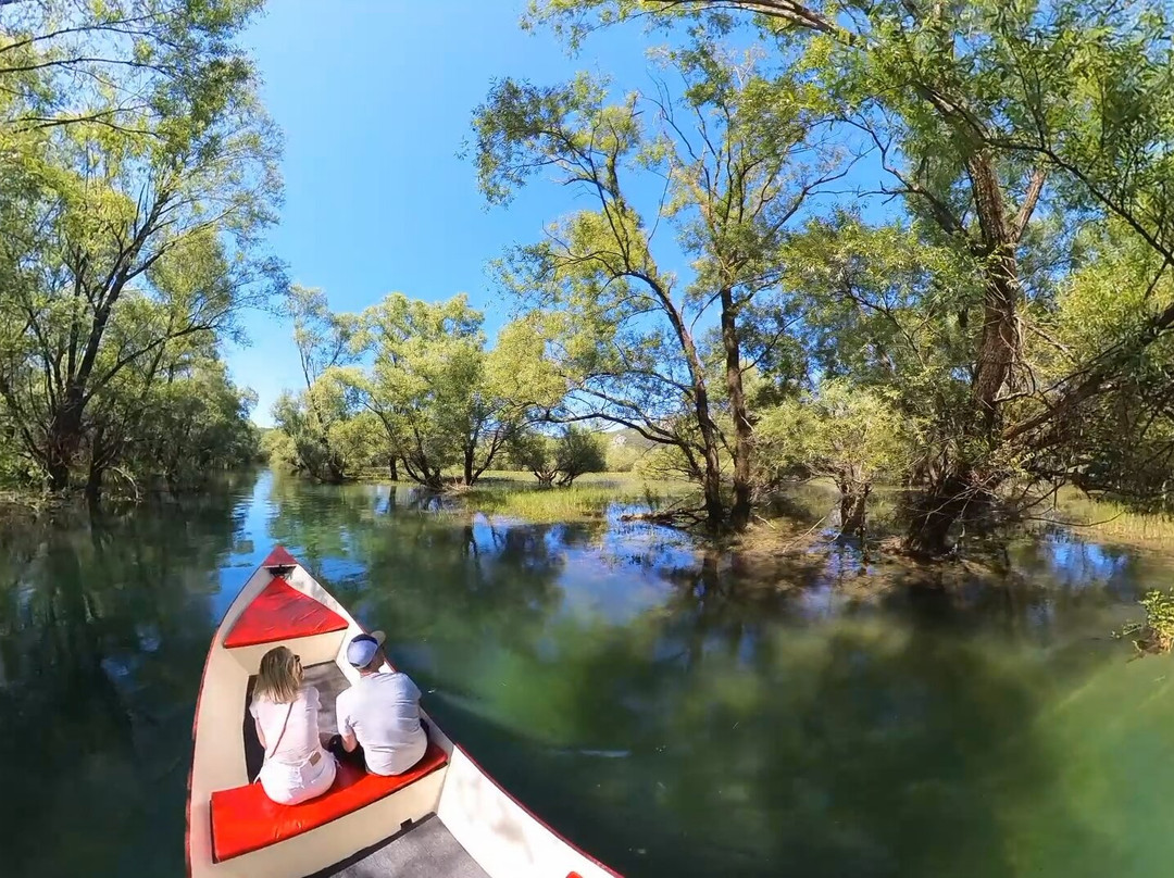 Skadar Lake - Boat Cruise Milena景点图片