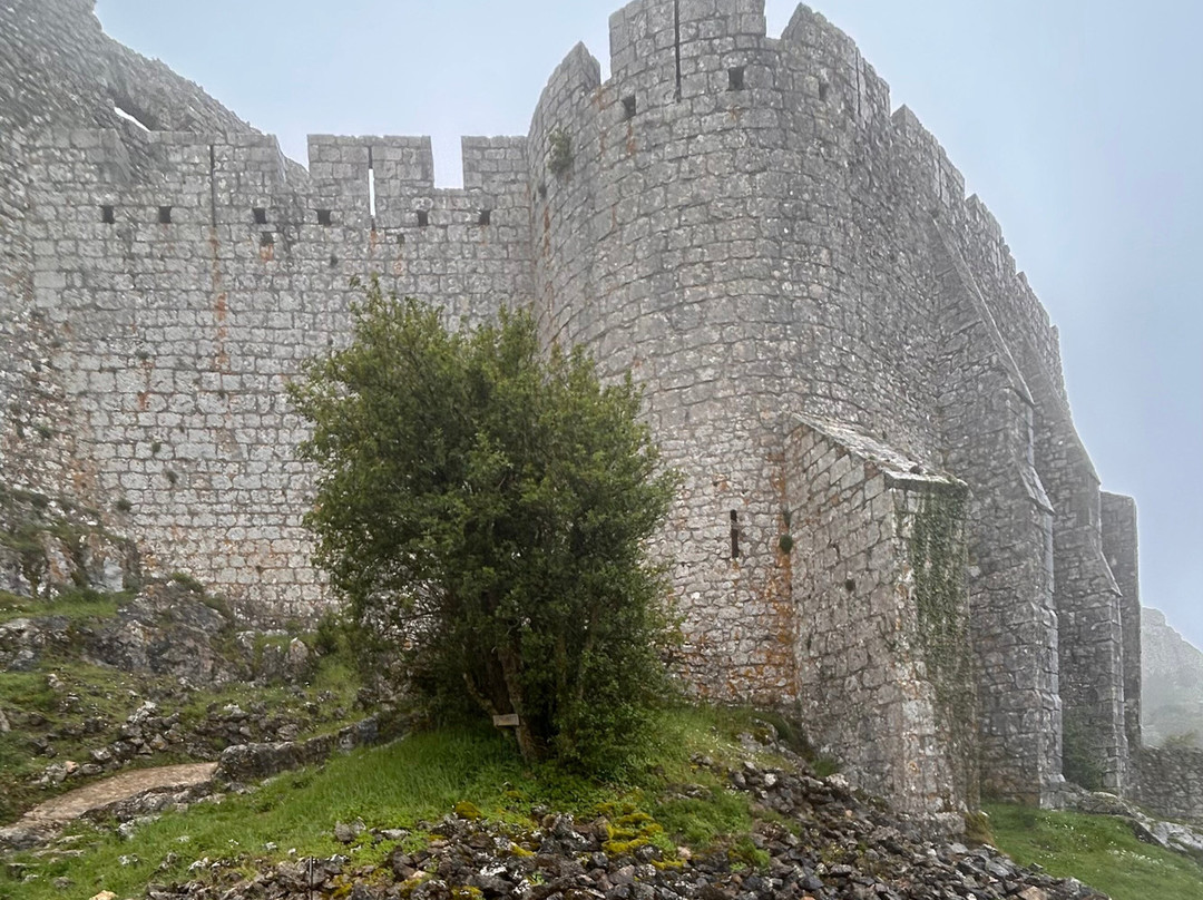 Chateau de Peyrepertuse景点图片