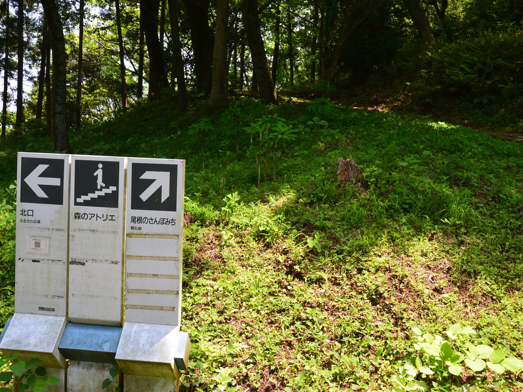 Nanasawa Forest Park-厚木市必去景点