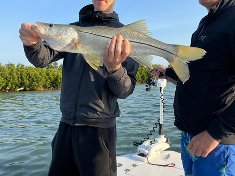 Clearwater Inshore Fishing-帕姆港必去景点