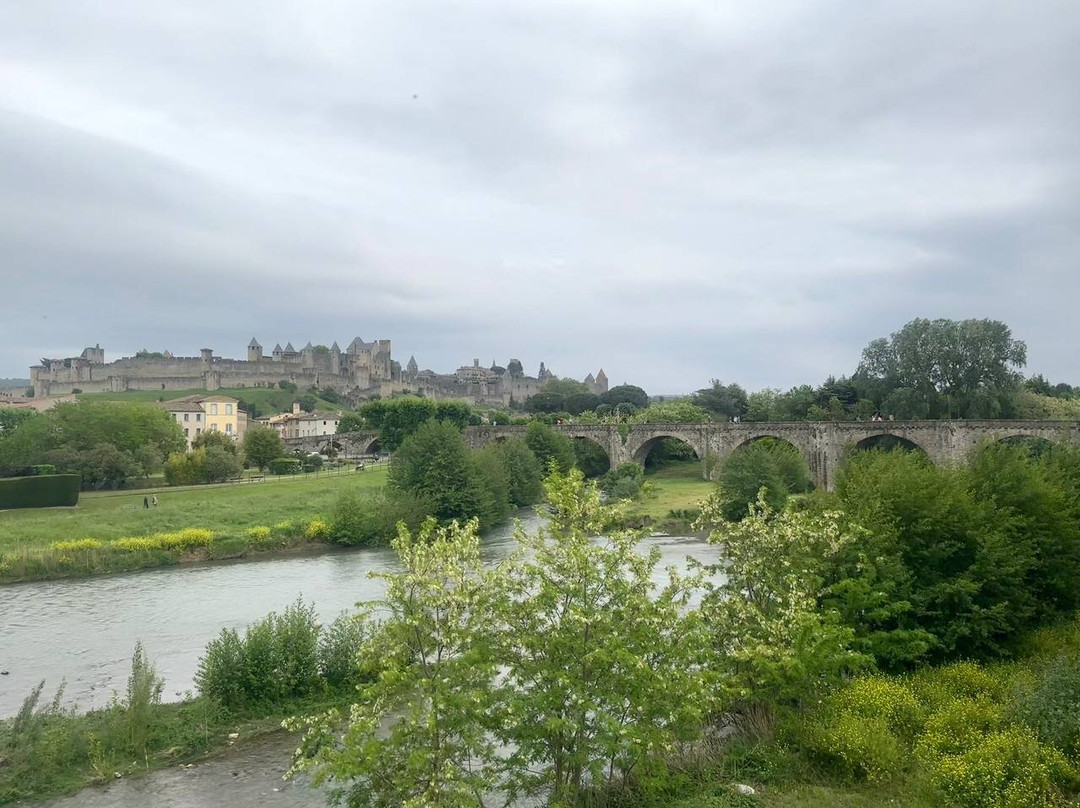 Le Pont Vieux (The Old Bridge)景点图片