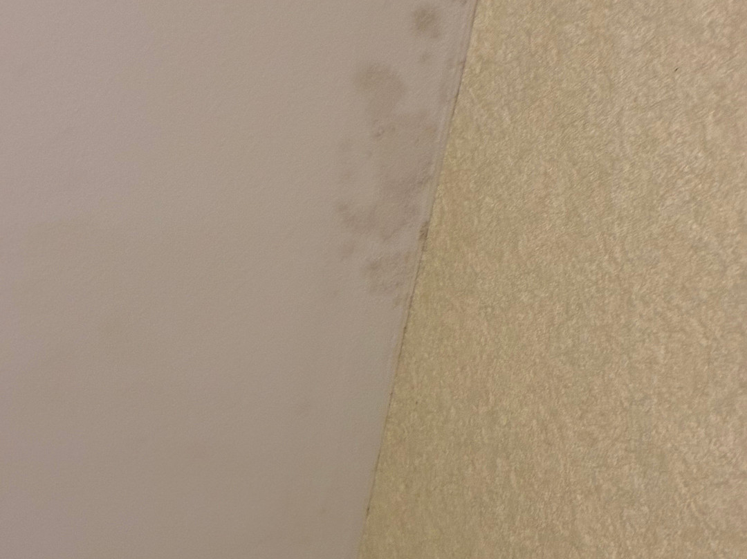 怀特河套房酒店主图