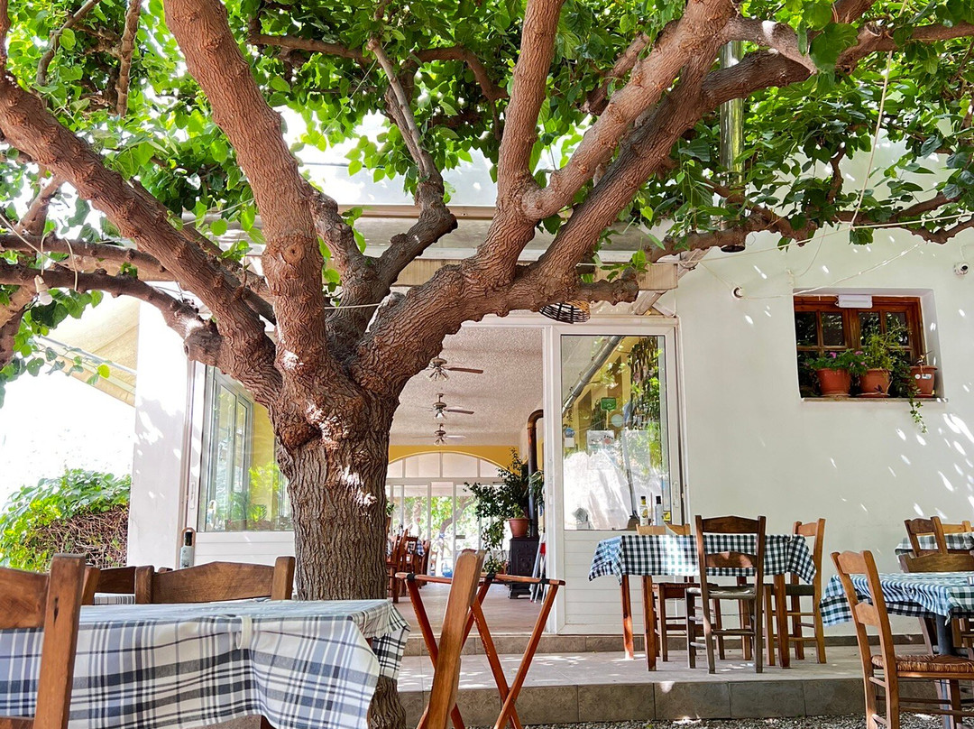 Waves on the Rock主图