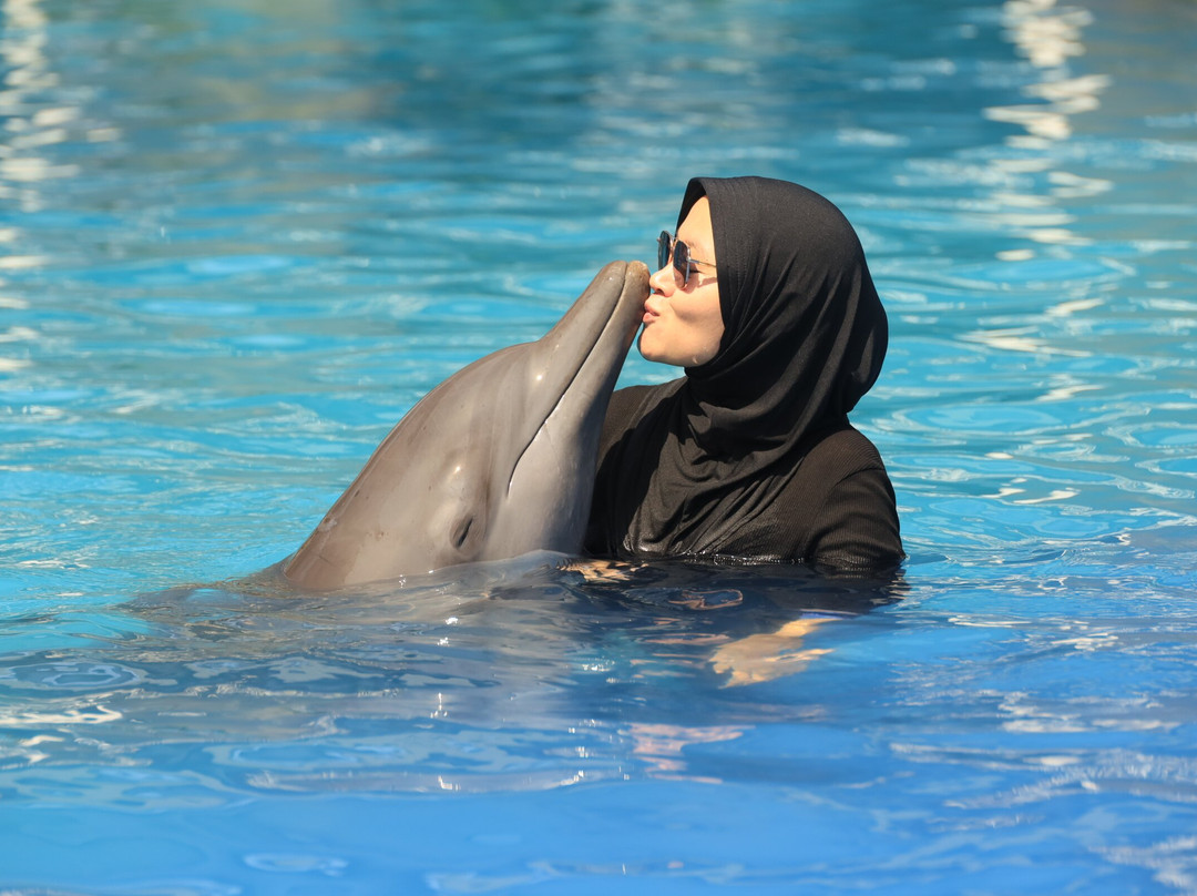 Bali Exotic Marine Park-登巴萨必去景点