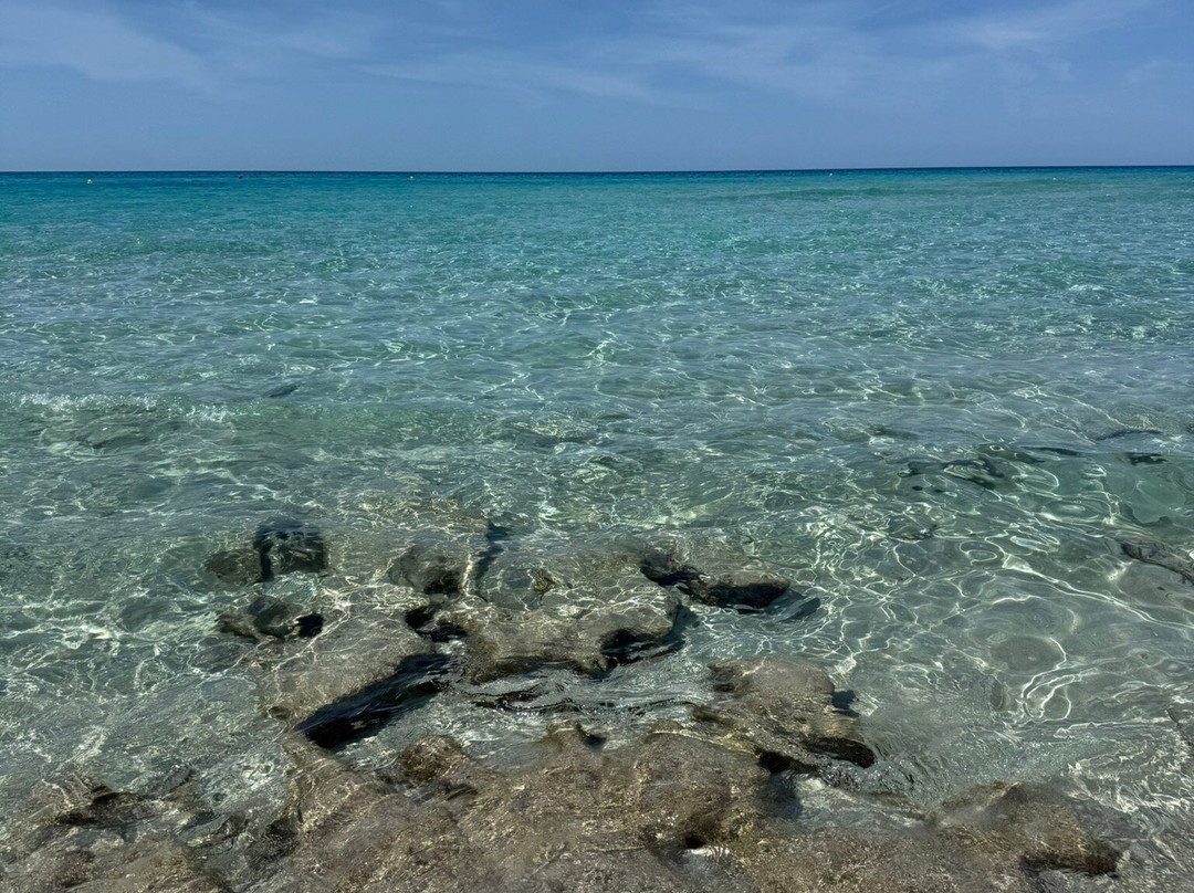 Platja Des Arenals景点图片