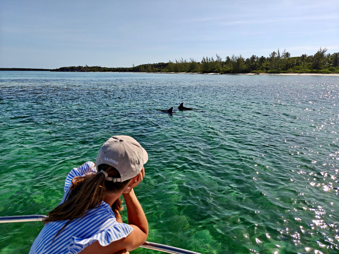 Fishbone Tours-伊柳塞拉必去景点