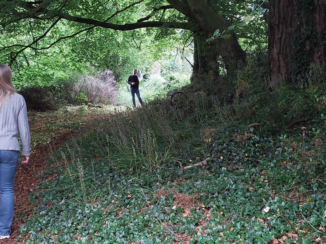 Blackstairs Eco Trails