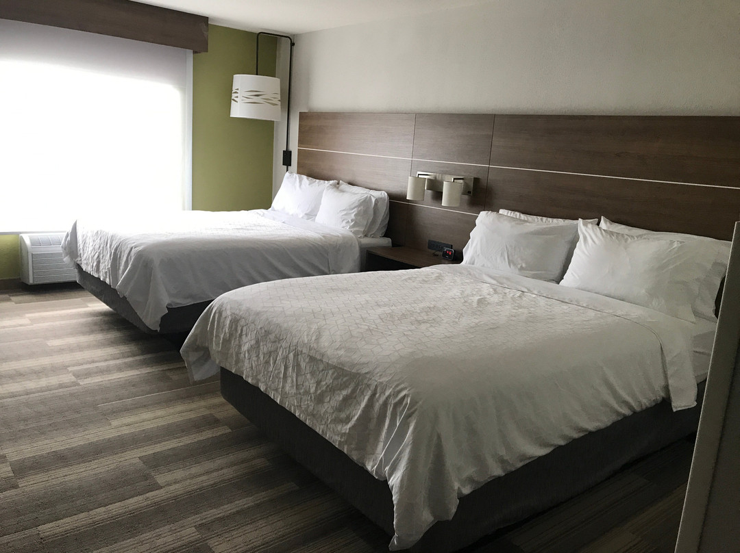 Holiday Inn Express & Suites Detroit - Farmington Hills By IHG主图