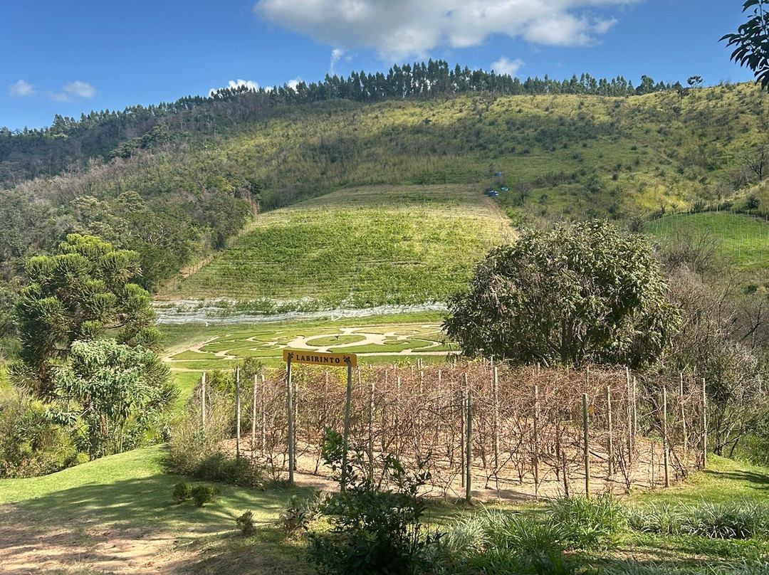 Vinícola Terrassos-Amparo必去景点