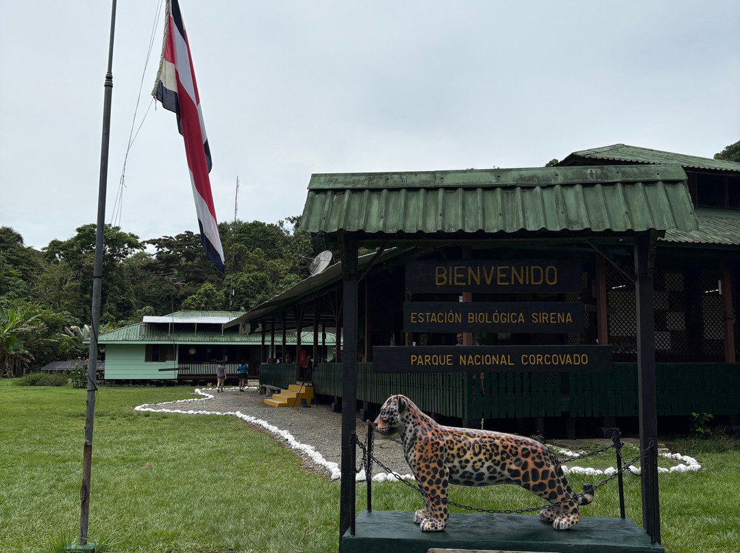 Jaguar Corcovado Tours-希门尼斯港必去景点