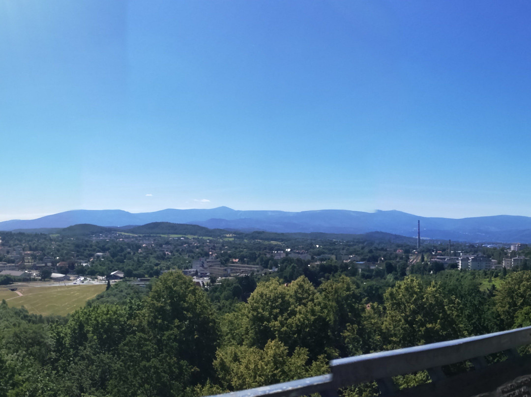 Tower "Mushroom" - Krzywoustego Hill-Jelenia Gora必去景点