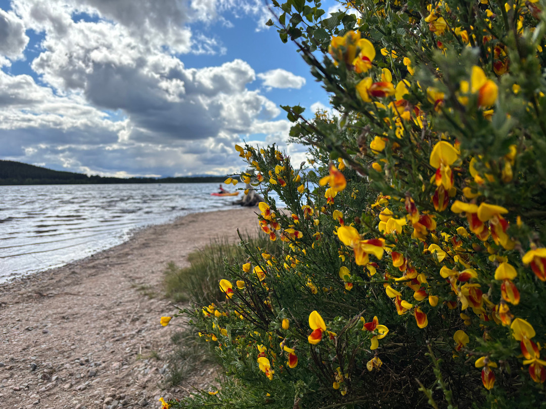 Haggis Tours-因弗内斯必去景点