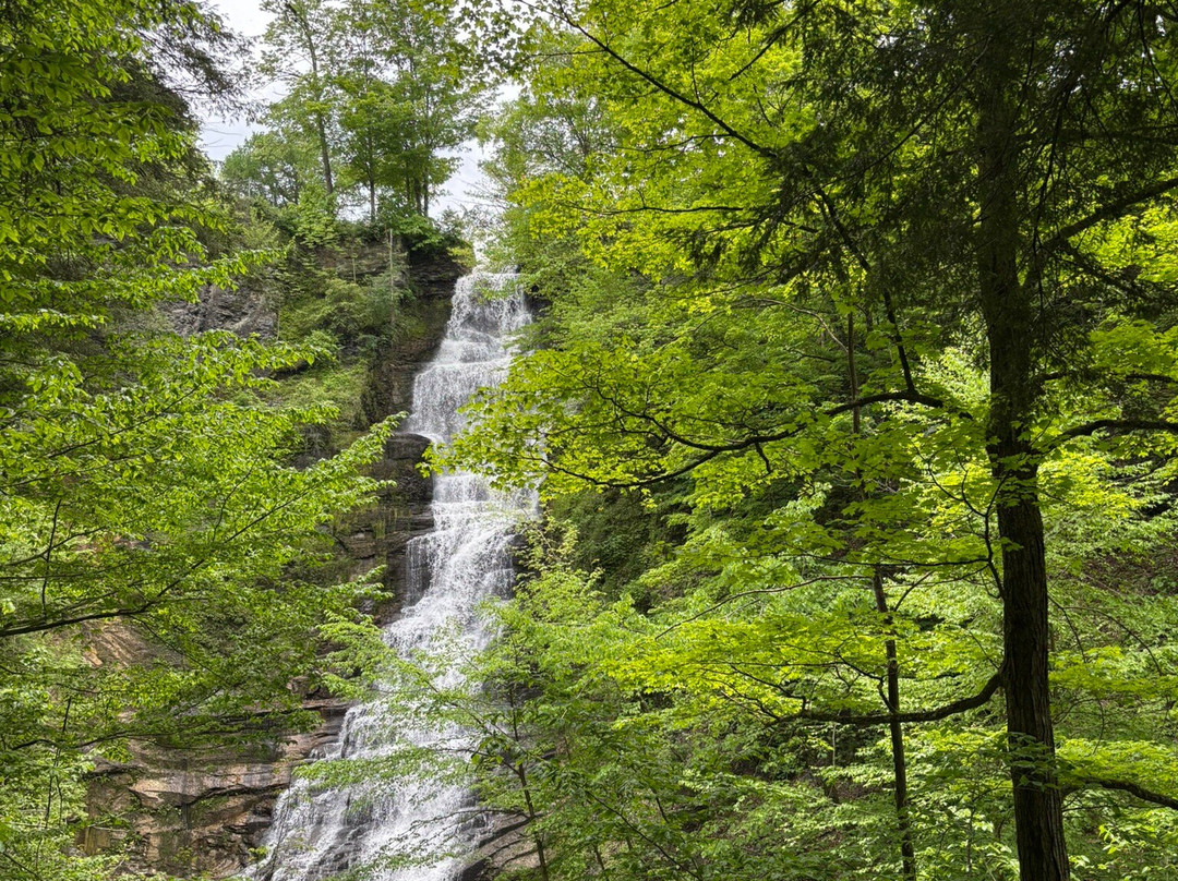 Pratt's Falls Park-Manlius必去景点