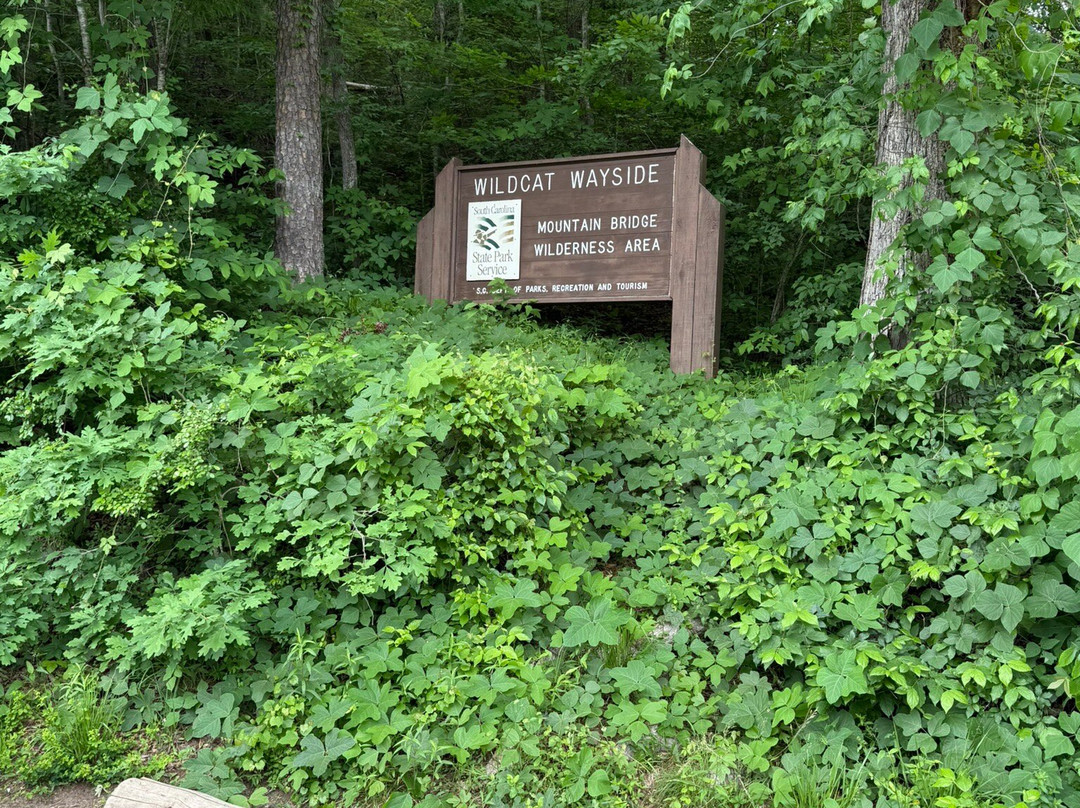 Wildcat Wayside Mountain Bridge Wilderness Area景点图片