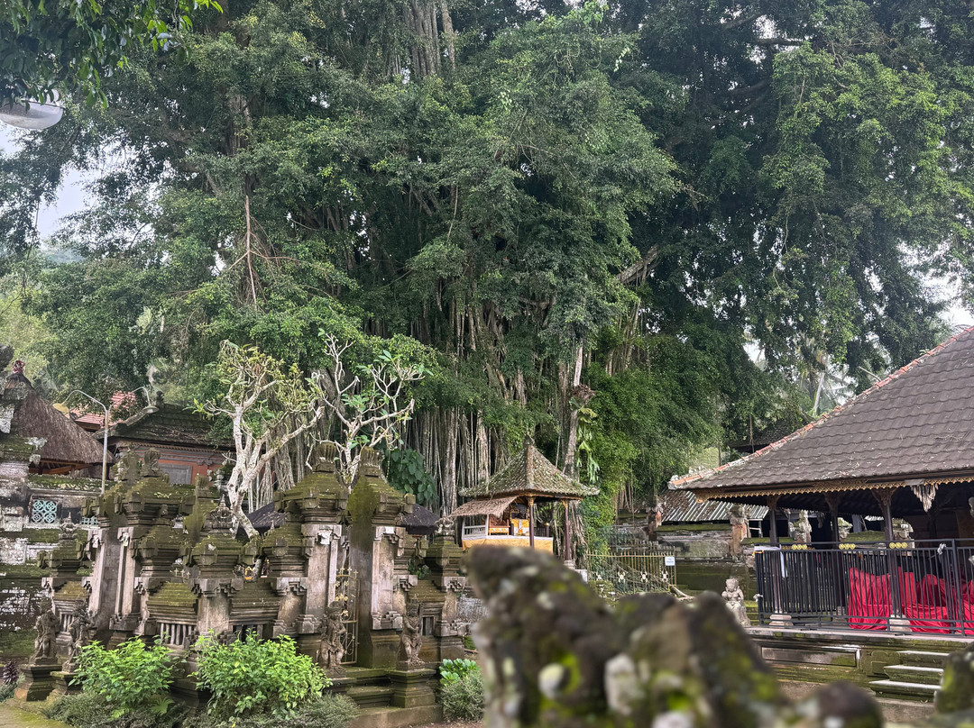 Bali Hai Adventure Tours-吉安雅必去景点