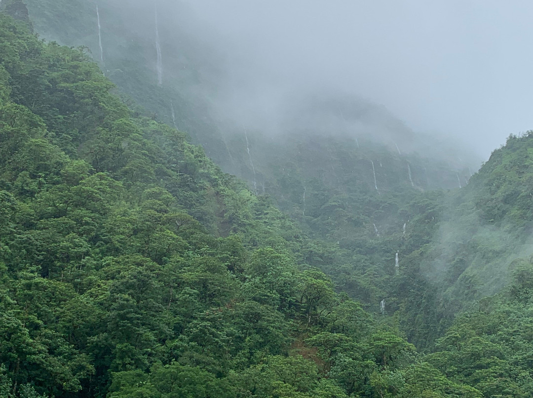 Vallée de la Papenoo景点图片