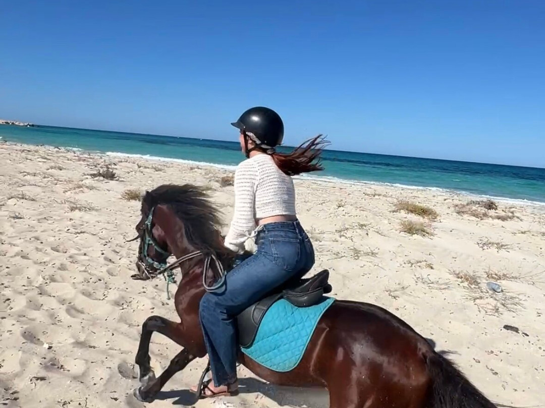 Ranch Yassmina Djerba La Douce景点图片
