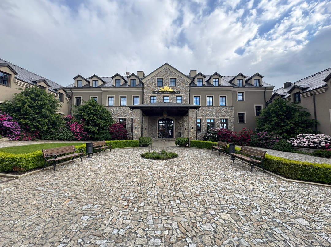 Park Hotel Popovicky主图