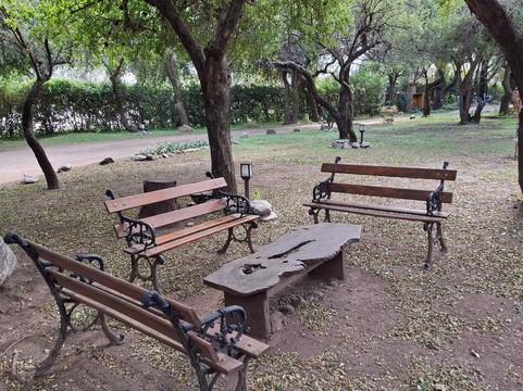 Rincon de los Troncos主图